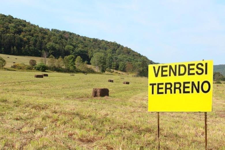 Azienda agricola in Vendita Sogliano al Rubicone