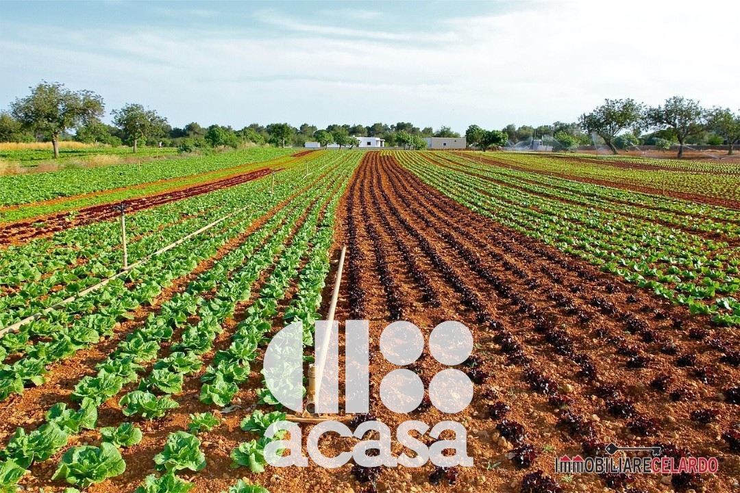 TERRENO AGRICOLO AGRIFOTOVOLTAICO