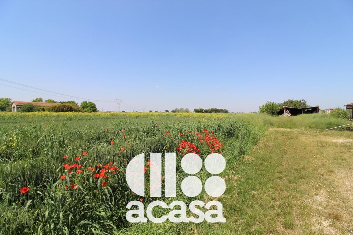 TERRENO AGRICOLO CON DEPOSITO ATTREZZI E POZZO ARTESIANO