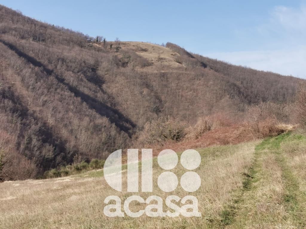 TERRENO AGRICOLO CON IMMOBILI DA RISTRUTTURARE