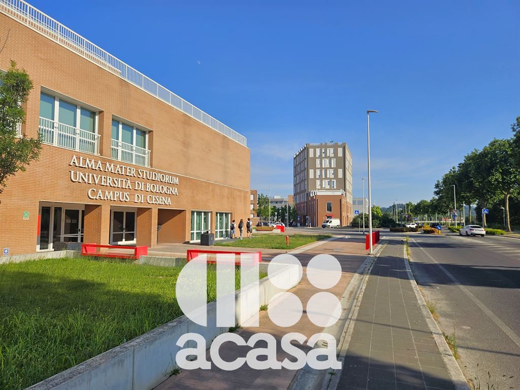 ULTIMO BILOCALE CON CORTE PRIVATA A REDDITO PER INVESTITORI