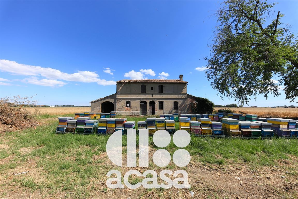 CASA COLONICA TIPICA DA RISTRUTTURARE