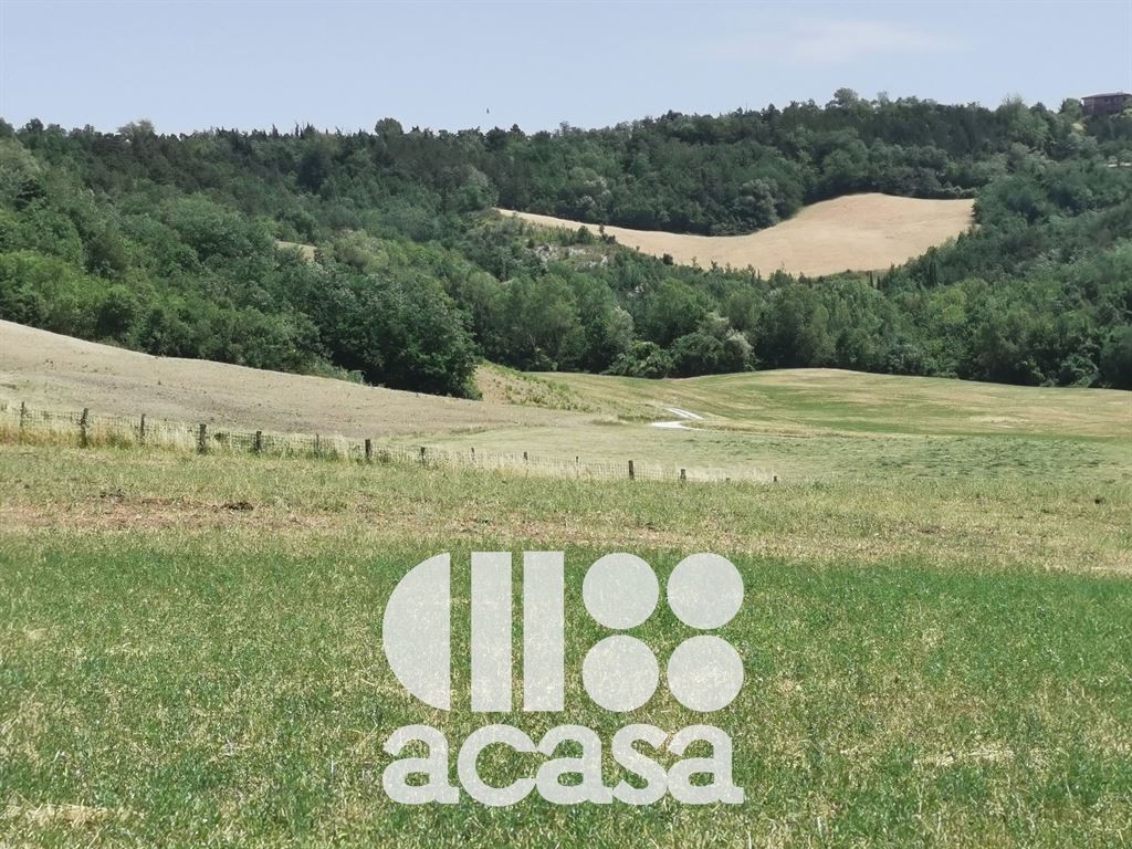 AZIENDA AGRICOLA