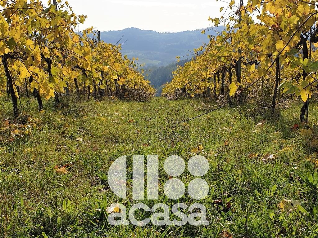 TERRENO AGRICOLO DI COLLINA