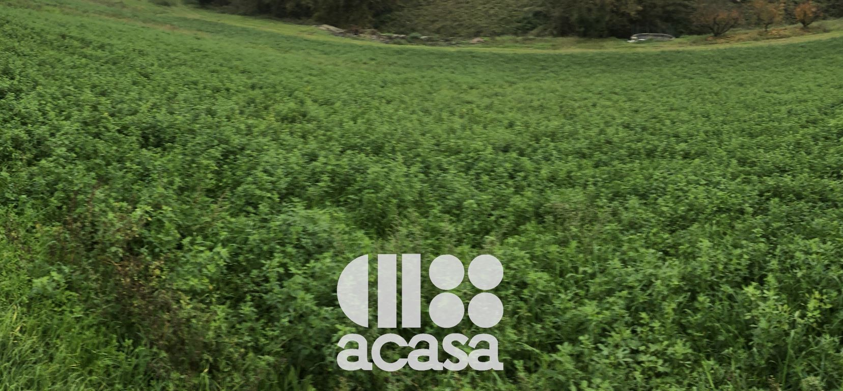 TERRENO COMMERCIALE EDIFICABILE