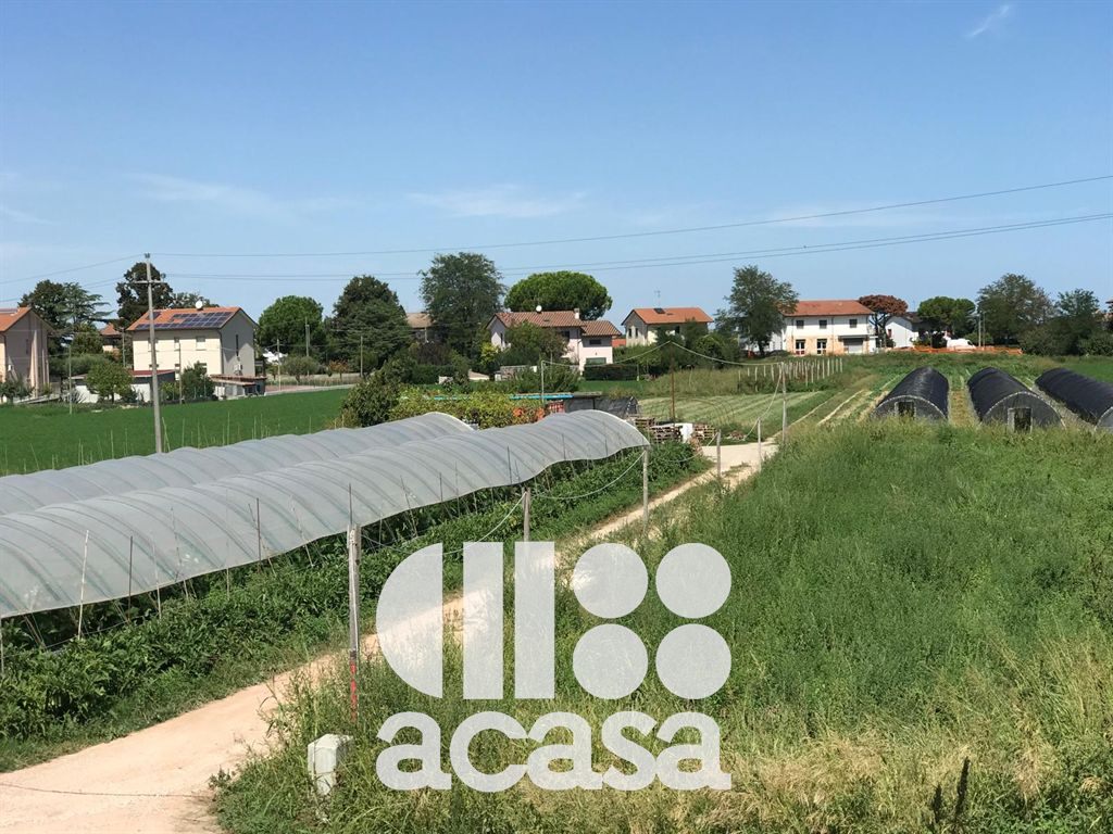 TERRENO AGRICOLO CON POZZO ARTESIANO