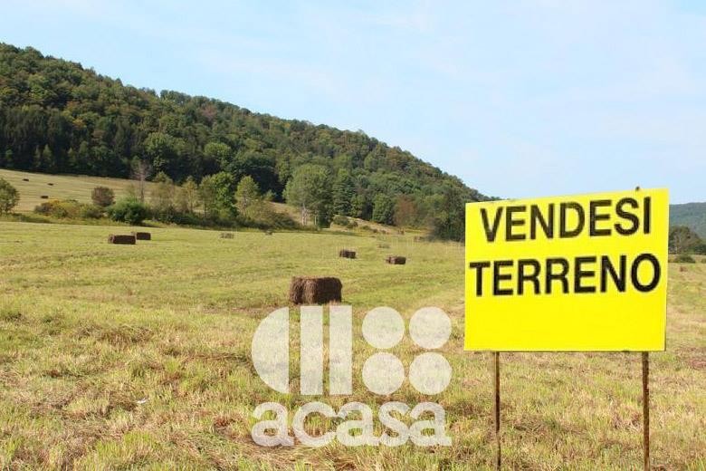 AZIENDA AGRICOLA IN COLLINA