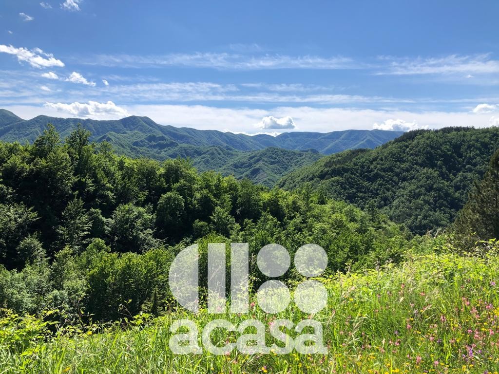 TERRENO BOSCHIVO ED AGRICOLO